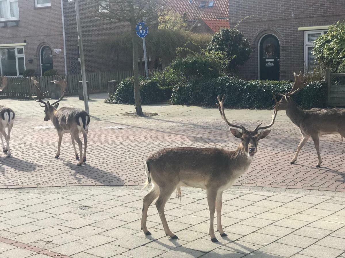 4 Seasons Zandvoort Zewnętrze zdjęcie